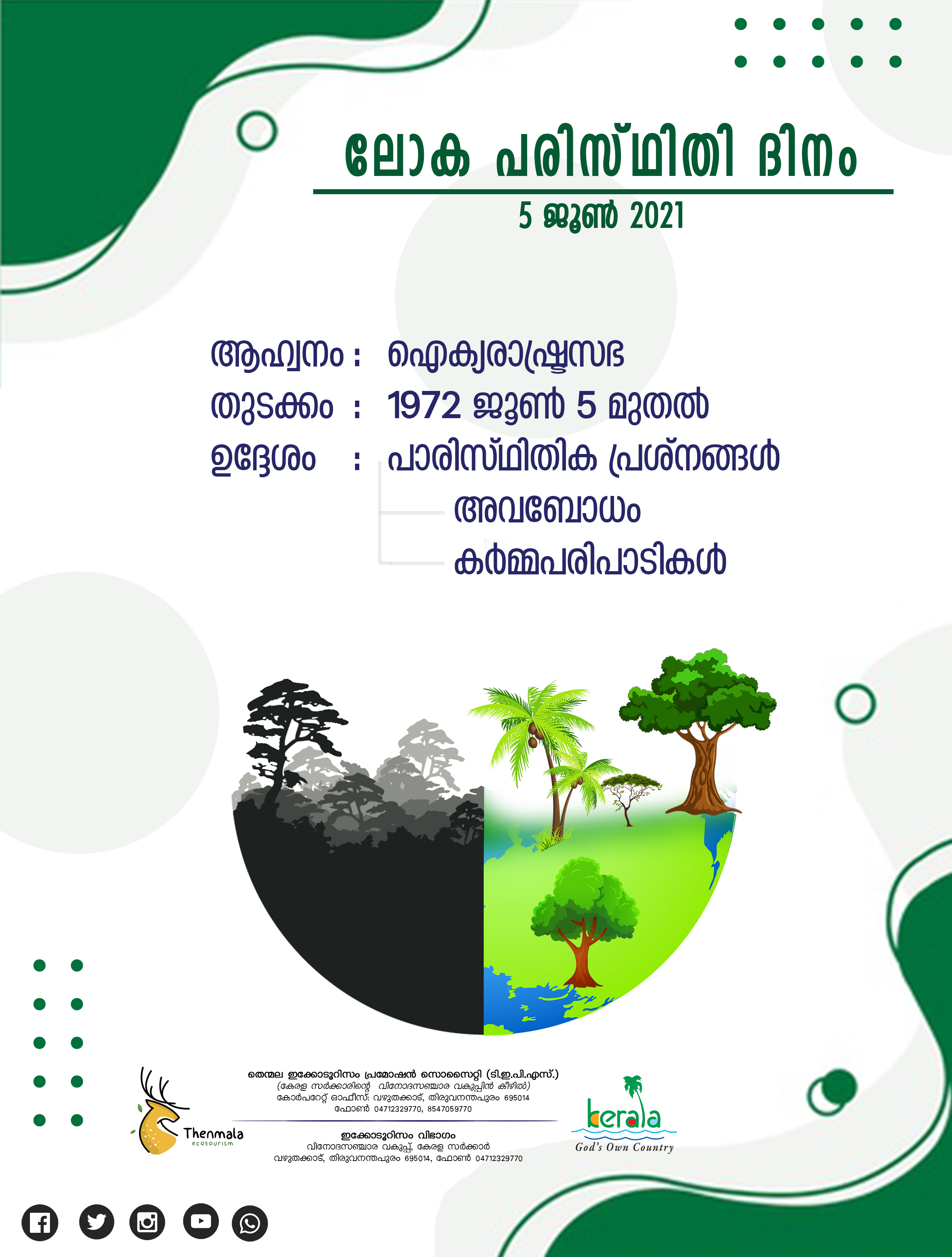International Forest Day